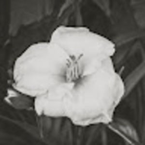 Meet your Posher, Tara